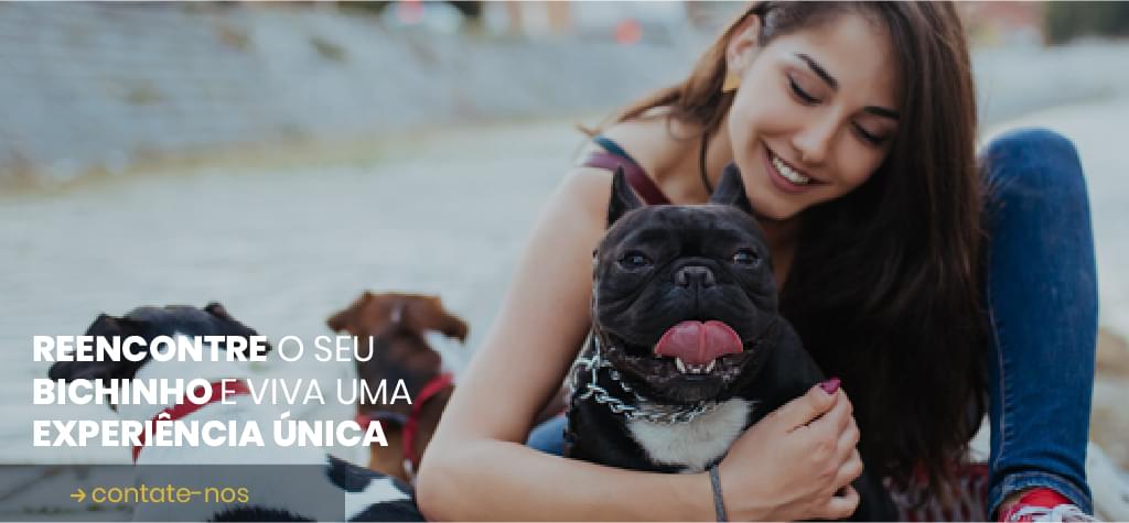 Banner Serviços